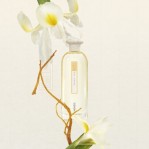 KENZO Soleil The