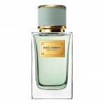 DOLCE & GABBANA Velvet Infusion DOLCE & GABBANA Velvet Infusion