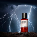 Maison Crivelli Patchouli Magnetik Maison Crivelli Patchouli Magnetik